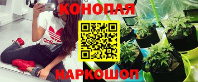 mix Будённовск