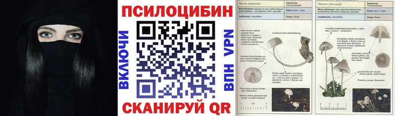 Галлюциногенные грибы Psilocybine cubensis  что такое наркотик  Городец 