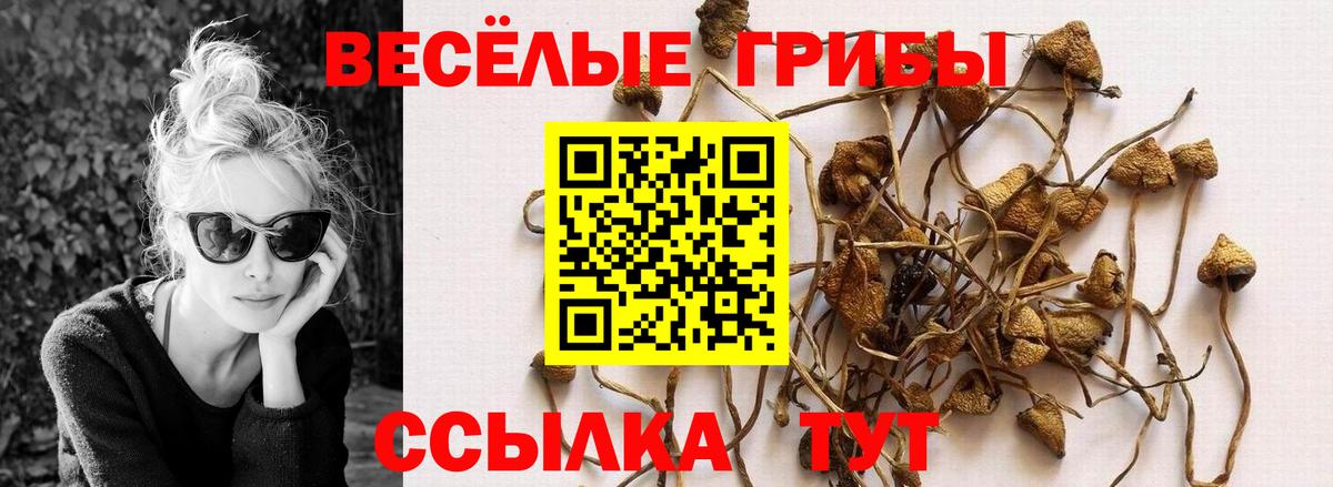 Галлюциногенные грибы ЛСД  Вход с VPN  Городец  Псилоцибиновые грибы мухоморы 